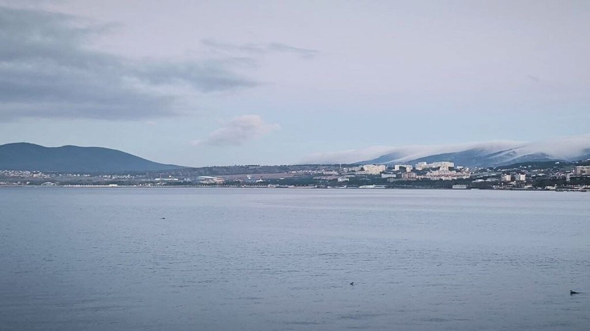    Фото: архив телеканала «Краснодар»