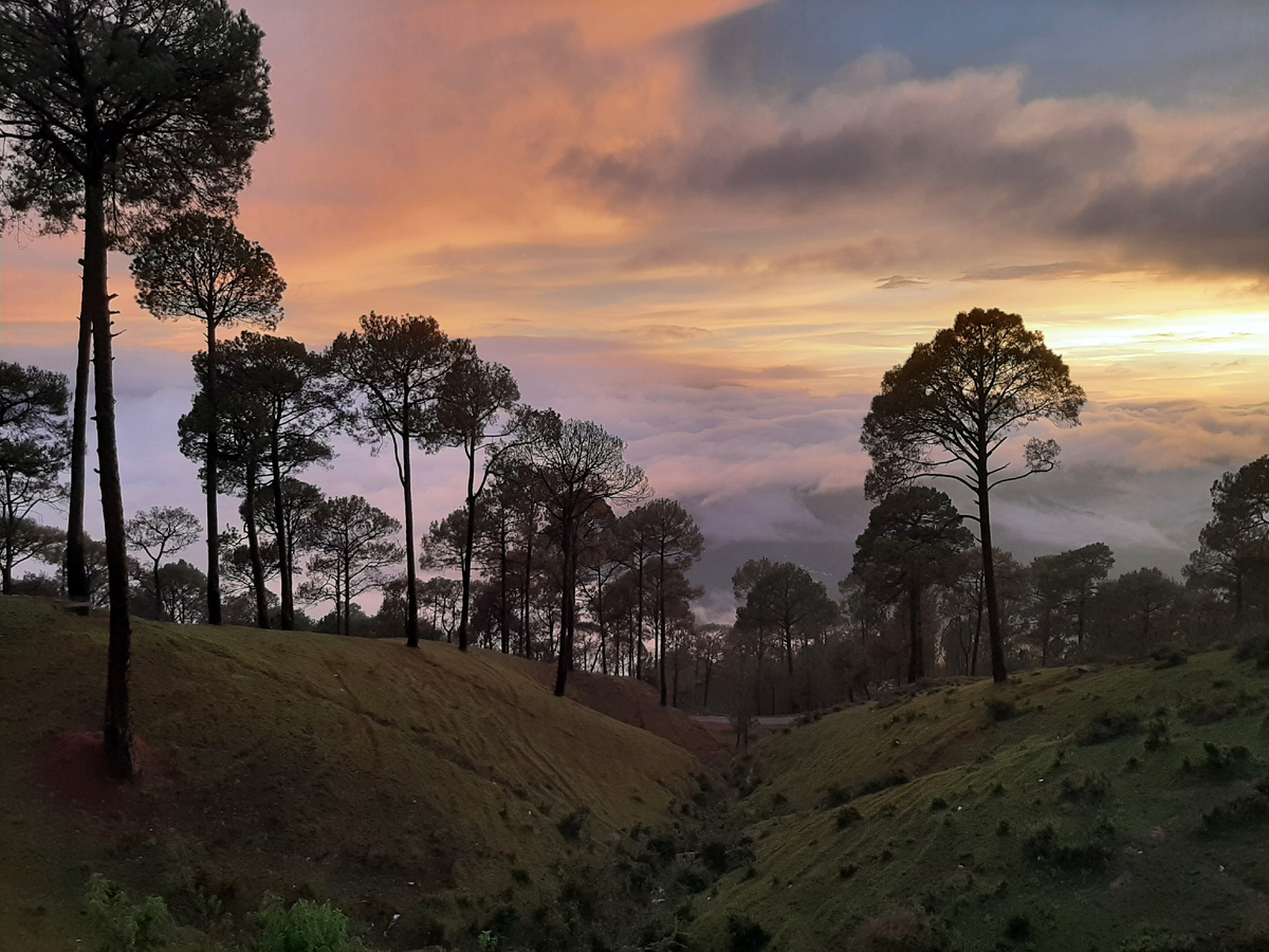 Гималаи. Аюрведа. Индия