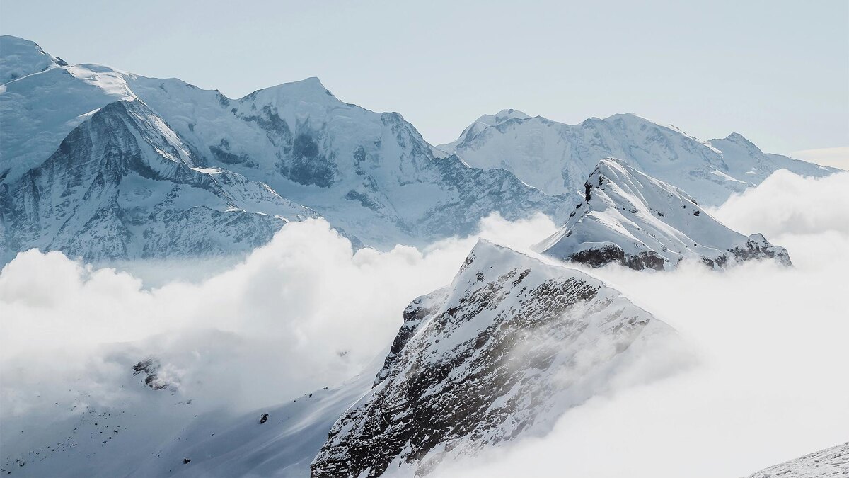    Фото: unsplash.com