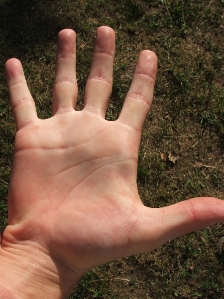 Рука огненного типа. https://dzen.ru/a/XrfQ558znRFmcZMI?sid=20968855018439996