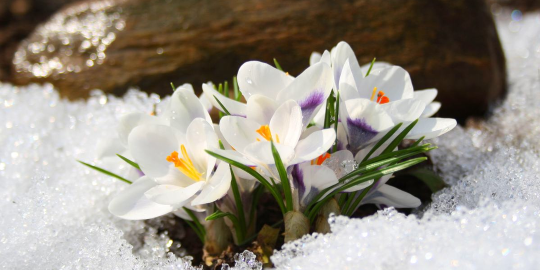 Не ЕГЭ по химии, но - очень достойные раритетные задачи.