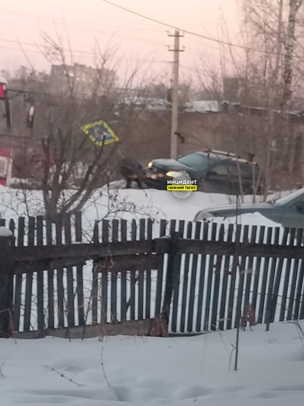 Фото: паблик ВКонтакте "Инцидент Нижний Тагил"