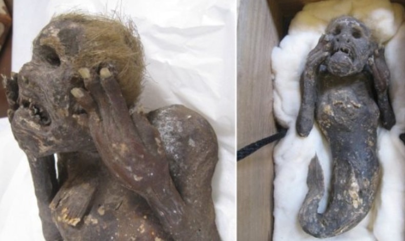 300-летняя мумифицированная русалка размером 12 дюймов в Японии - социальные сети
