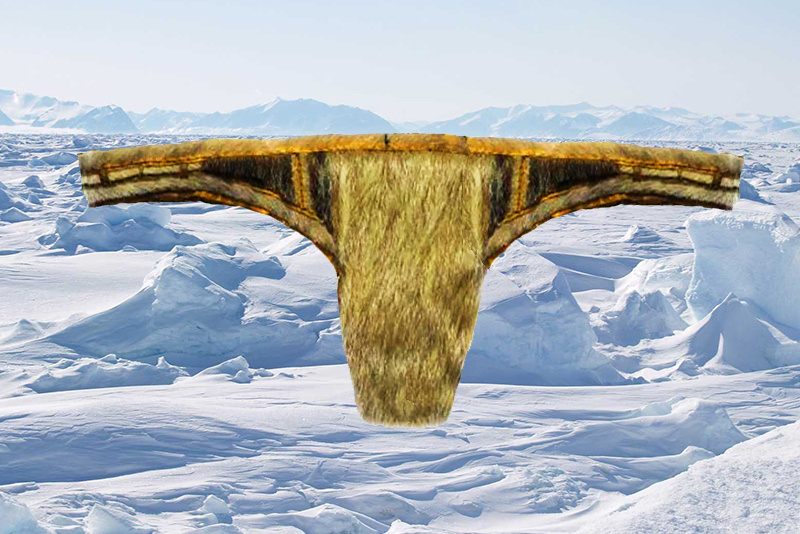 Меховые стринги