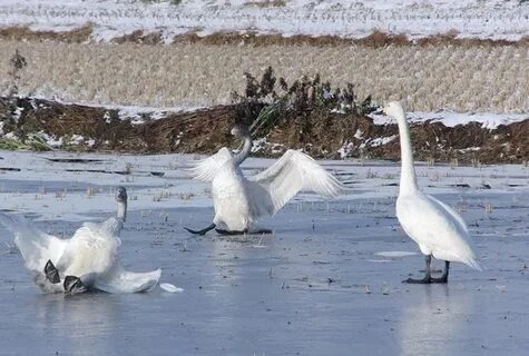 Нет это не тот пруд. 😂
