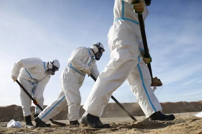 Если бы все службы вовремя отреагировали на разлив мазута, многих неприятностей удалось бы избежать. Фото: оперштаб Краснодарского края