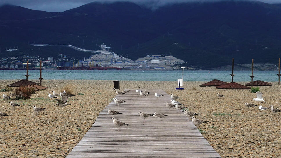 Фото: Алексей Зотов / Коммерсантъ