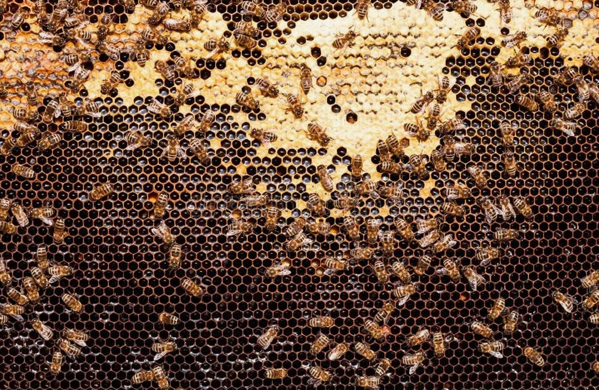 фото для примера