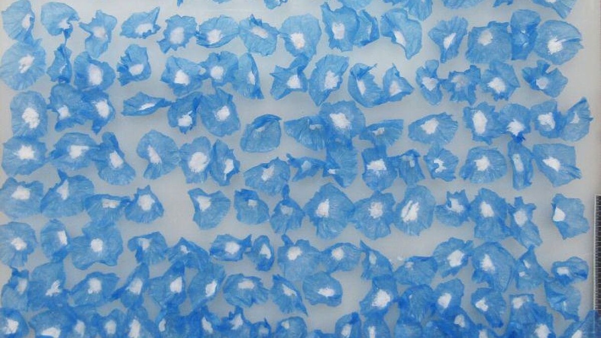    Фото: t.me/mvd01ra