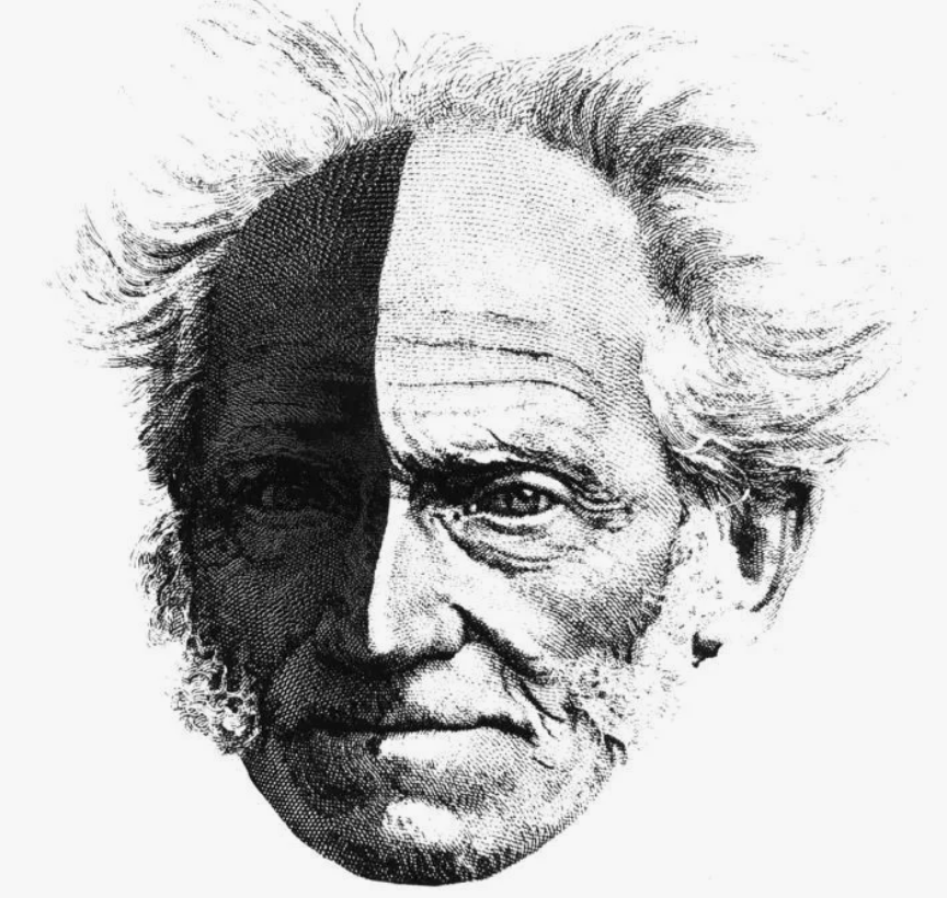 Фото: https://in.pinterest.com/pin/363947213639458972/