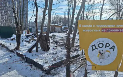    В Воронеже начался снос забора приюта для собак «Дора», который более 20 лет находился на левом берегу "Абирег"