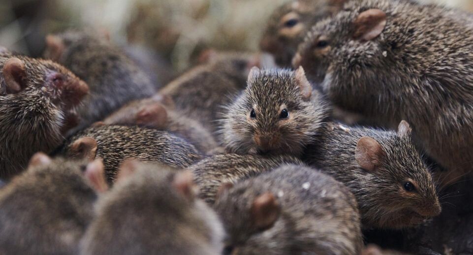    Annette Riedl/ZB / Global Look Press