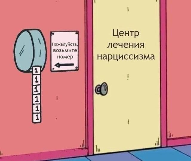 Нарциссы в картинках