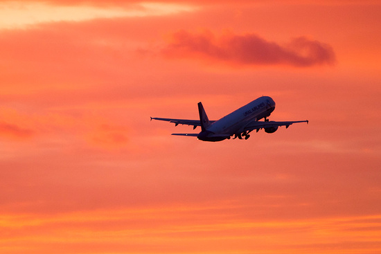 Фото: Сергей Бобылев/ТАСС