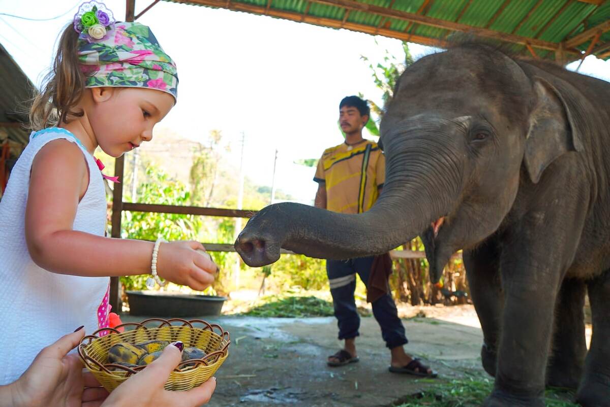Пхукет прекрасно подходит для отдыха с детьми самого разного возраста