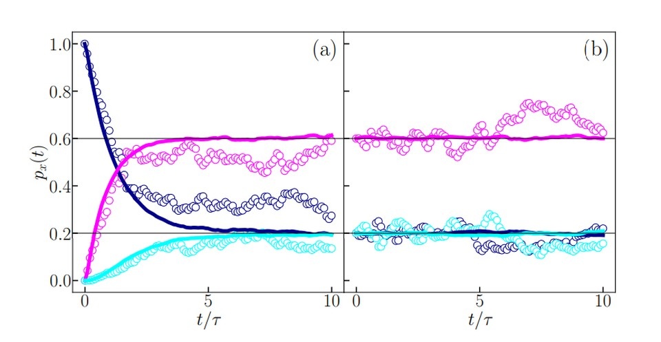    Судьба кота: он или жив (красная линия), или – в другой Вселенной – увы (светло-синяя), но никогда не бывает тем и другим одновременно. Парадокс Шредингера разрешен.