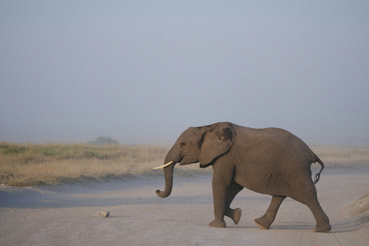 Картинка с бесплатного фотостока https://unsplash.com, автор Simone Dinoia