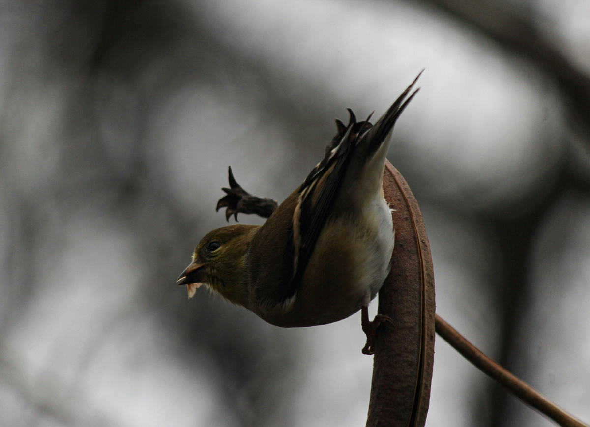 Картинка с бесплатного фотостока https://unsplash.com, автор Hasnain Sikora