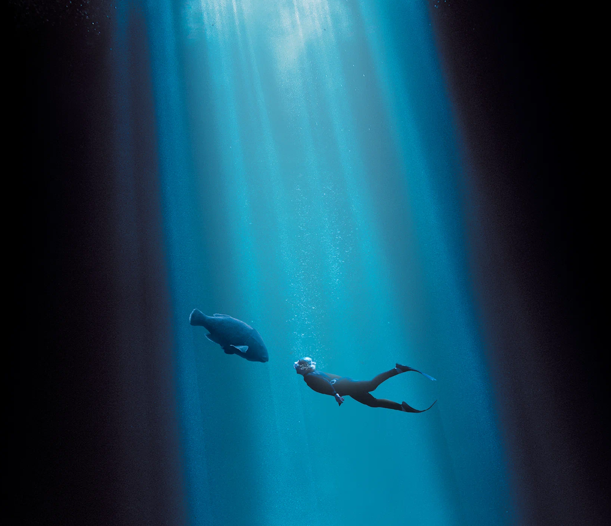 Кадр из фильма «Друг в океане»