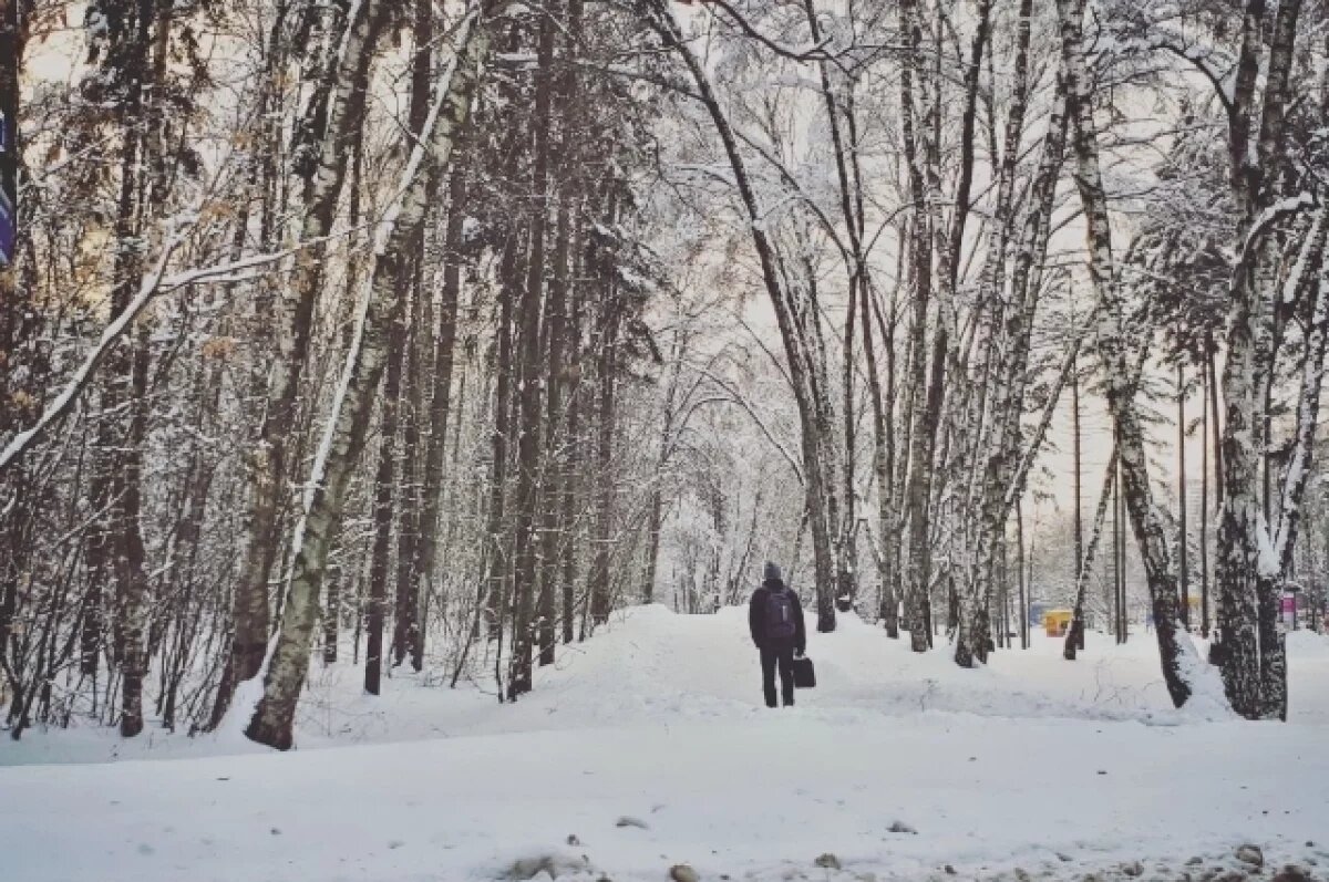    Закопал в снегу.