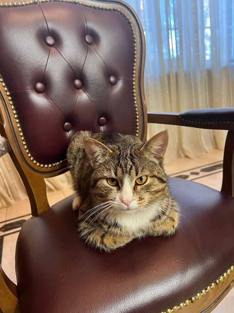 Яндекс картинки