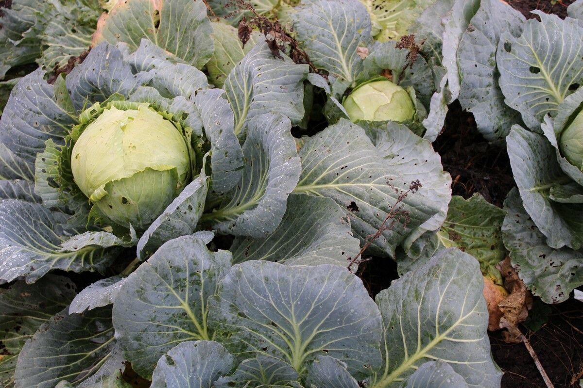 Фото: ИА Регион 71