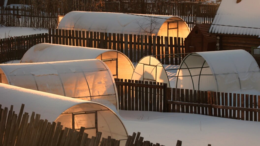    © Ekaterina Sychkova/Globallookpress