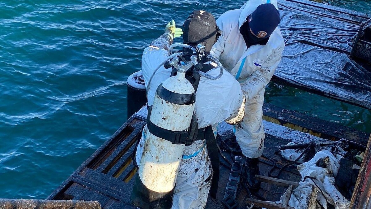    Фото: телеканал «Краснодар»