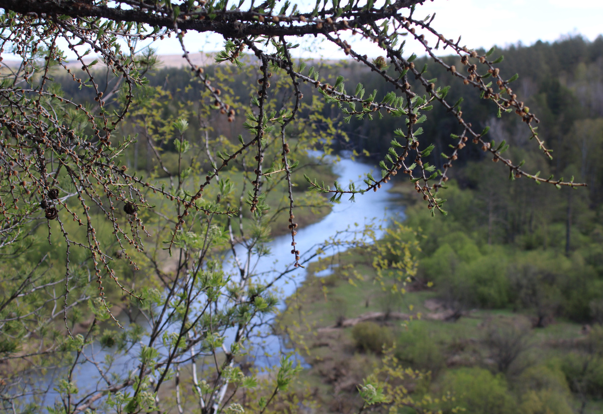 На юге Свердловской области природа просыпается не несколько дней раньше, чем в северных районах.