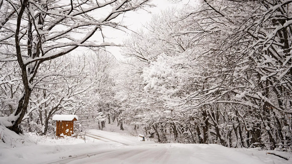 © Courtesy of Kakheti Region