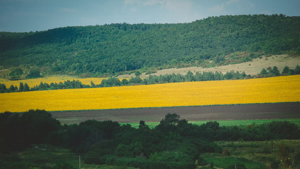 Фото: 1MI. Сельскохозяйственные предприятия

