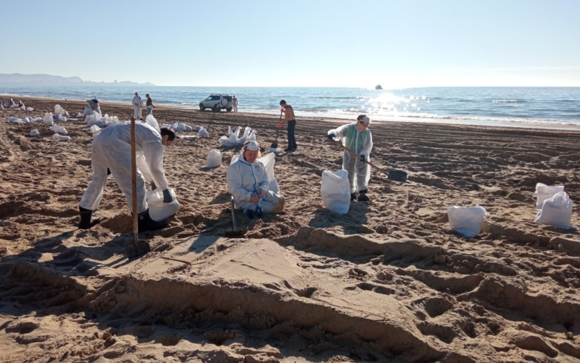  Волонтеры устраняет последствия разлива мазута в Черном море. Фото: Наталья Петухова