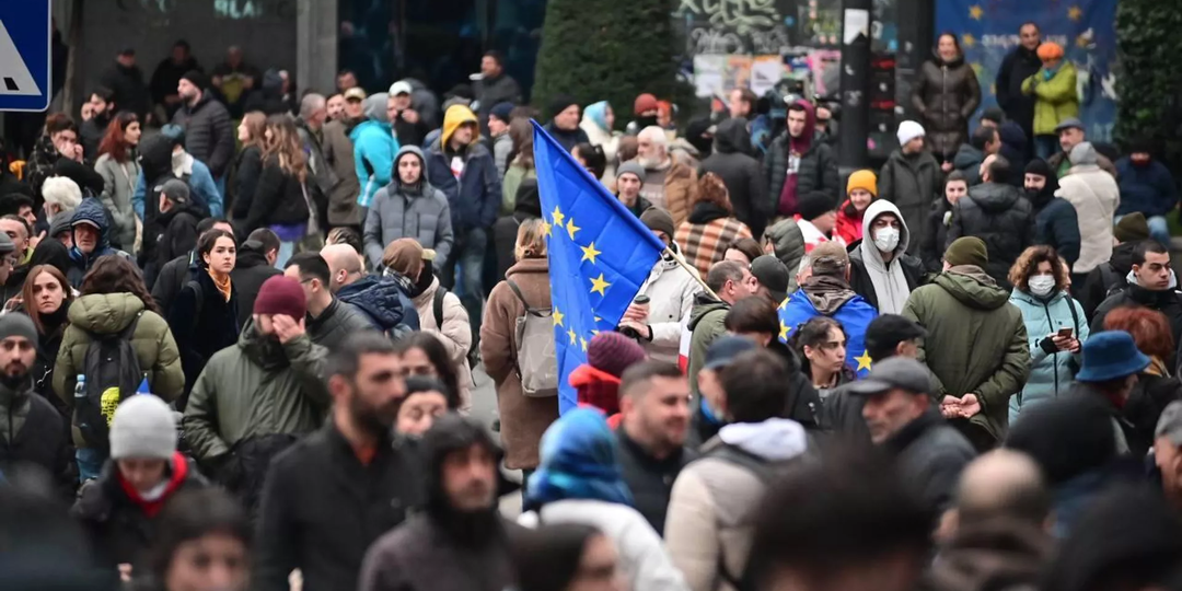 Почему Институт Маккейна пишет новые инструкции для митингующих в Грузии?