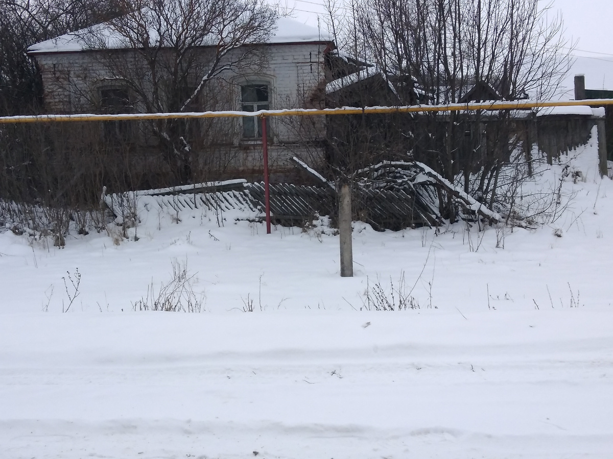 Фото автора.