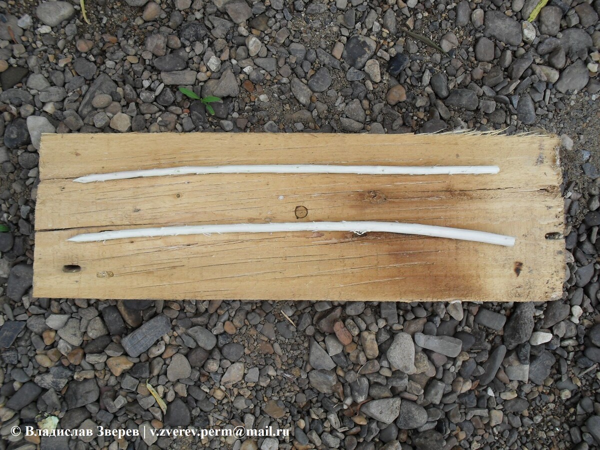 Фото 2. Шпажки для запекания рыбы.