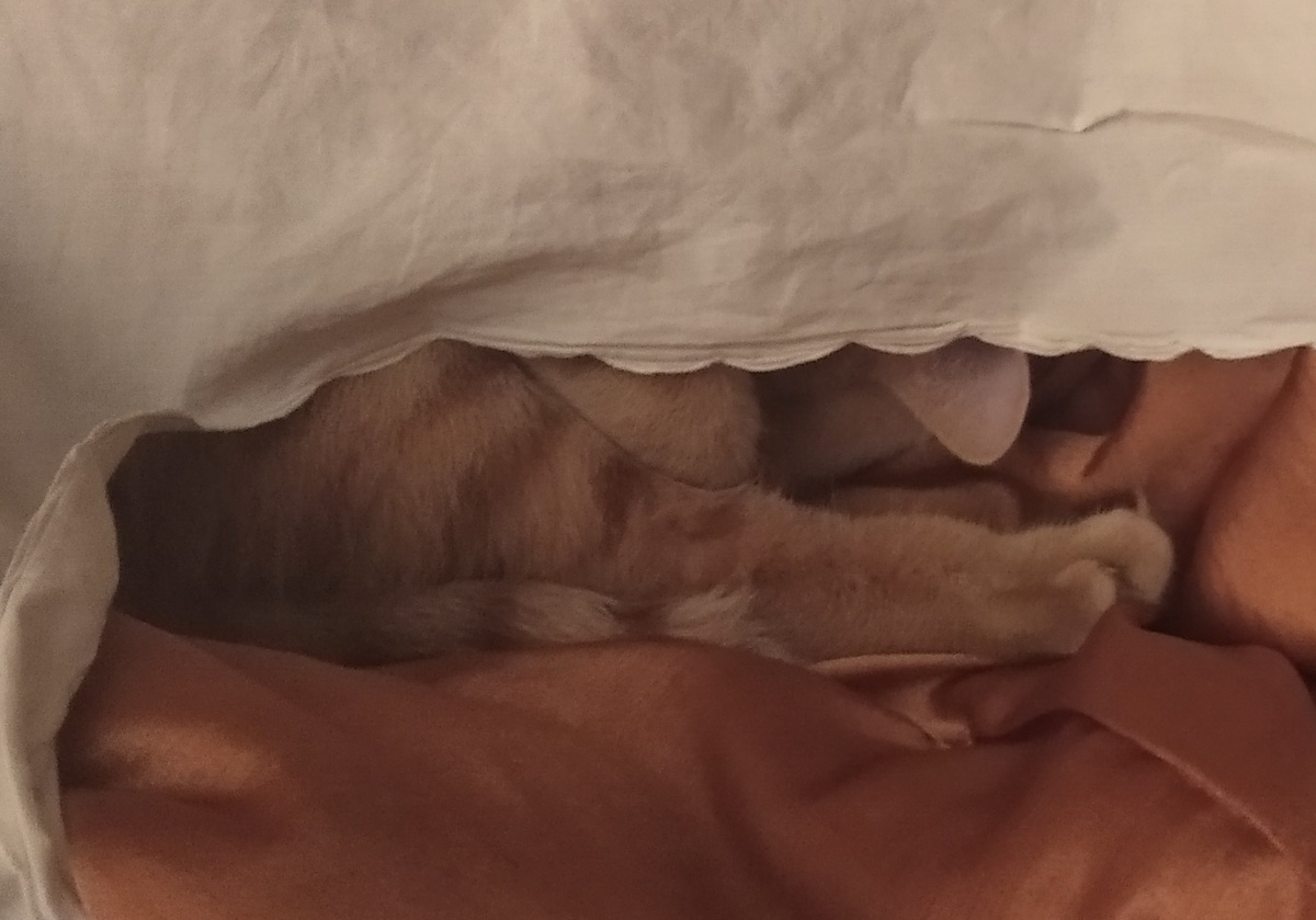 личное фото