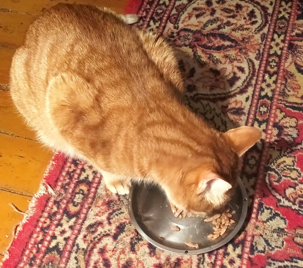 личное фото