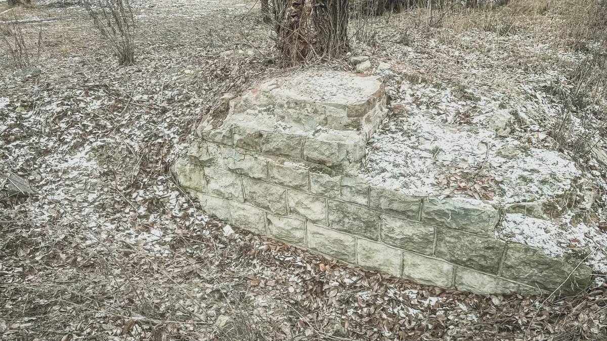     Источник: novostivolgograda.ru