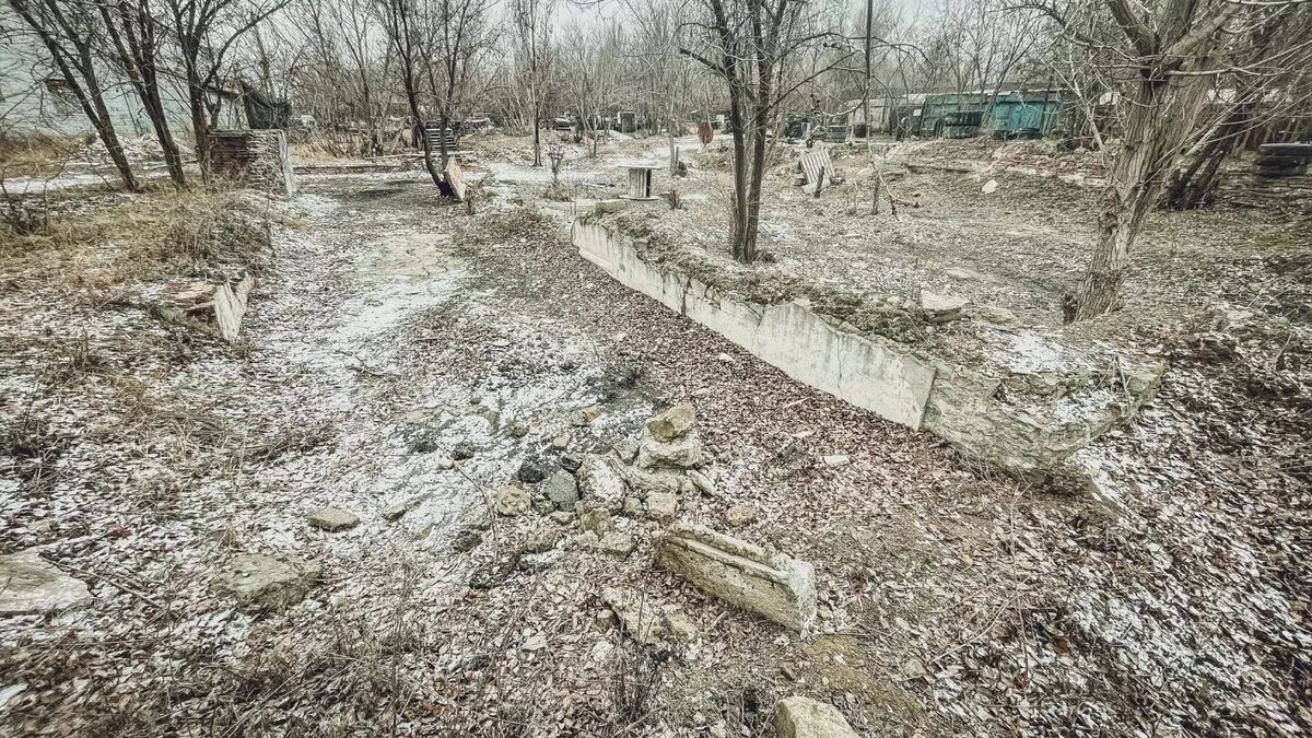     Источник: novostivolgograda.ru