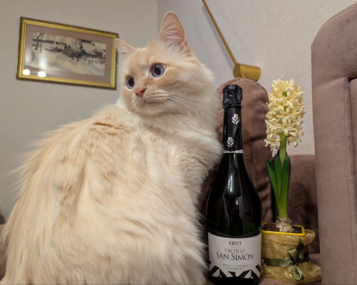 Игристое вино Castillo San Simon Brut