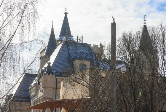    Наталья Шатохина/NEWS.ru