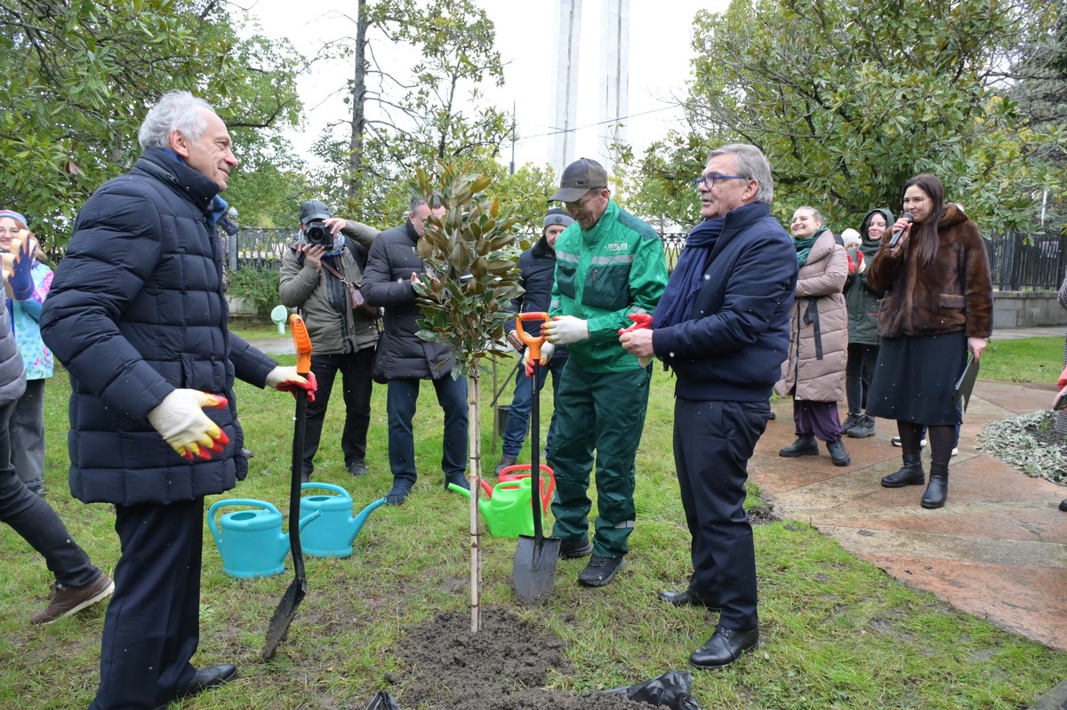 фото: Пресс-служба администрации Сочи  📷
