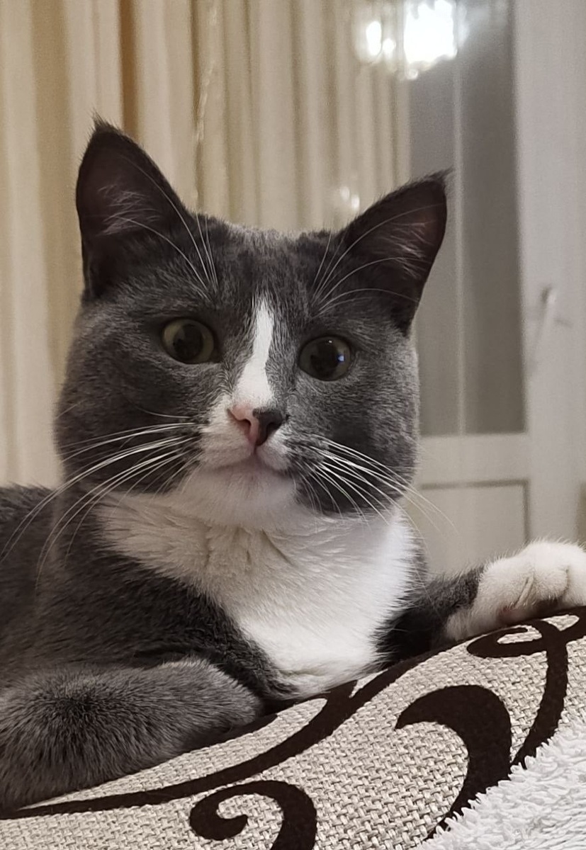 Источник: redd.it