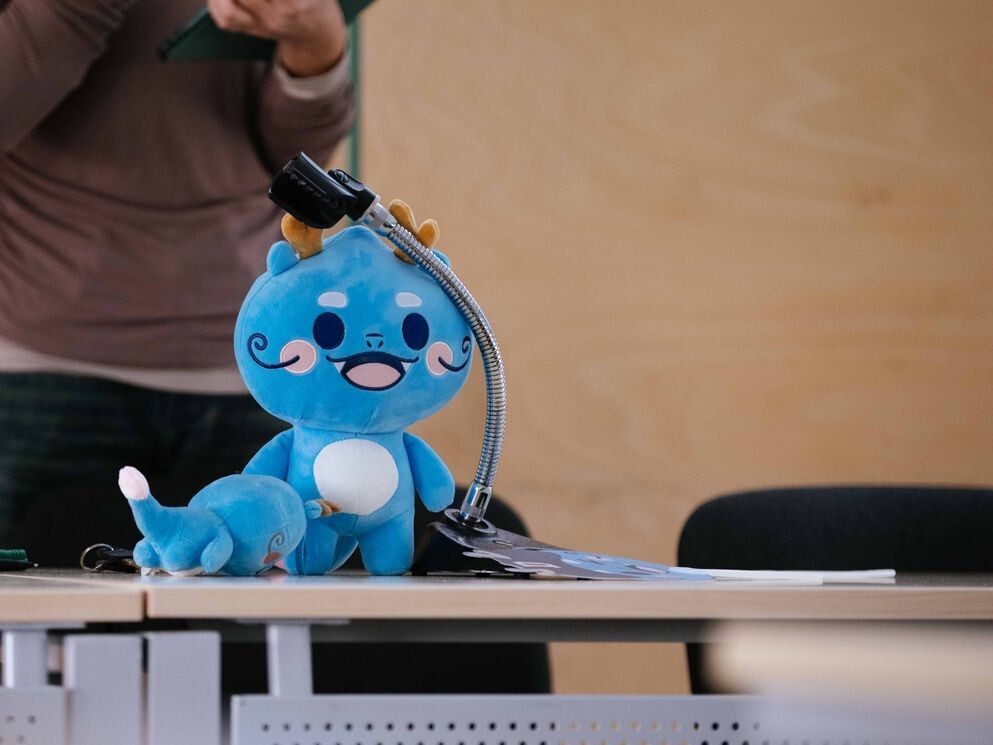 Данил Хазигалиев | Пресс-служба Питерской Вышки