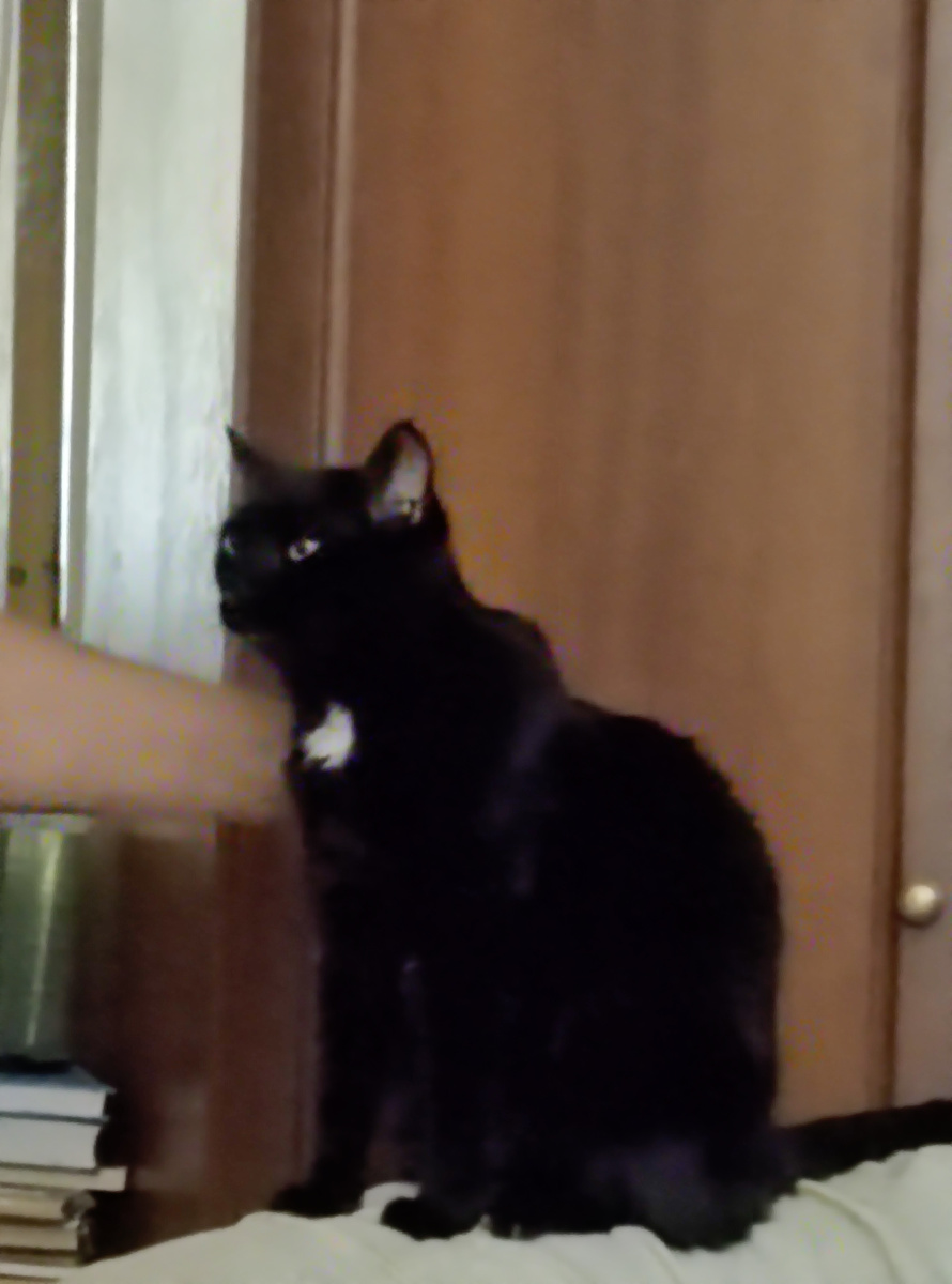 Фото не очень. Почему то не удается его заснять. 