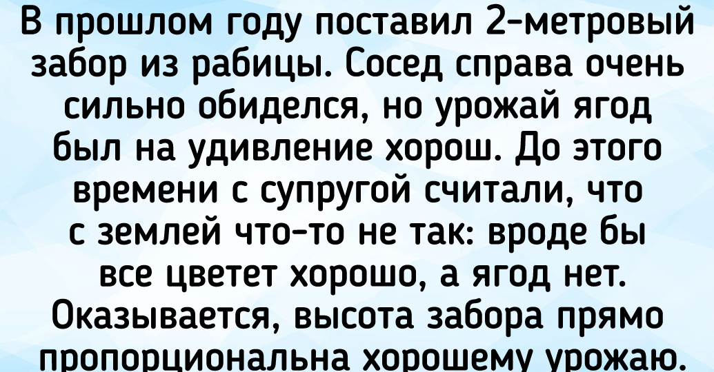 14 соседей, за жизнь с которыми должны доплачивать