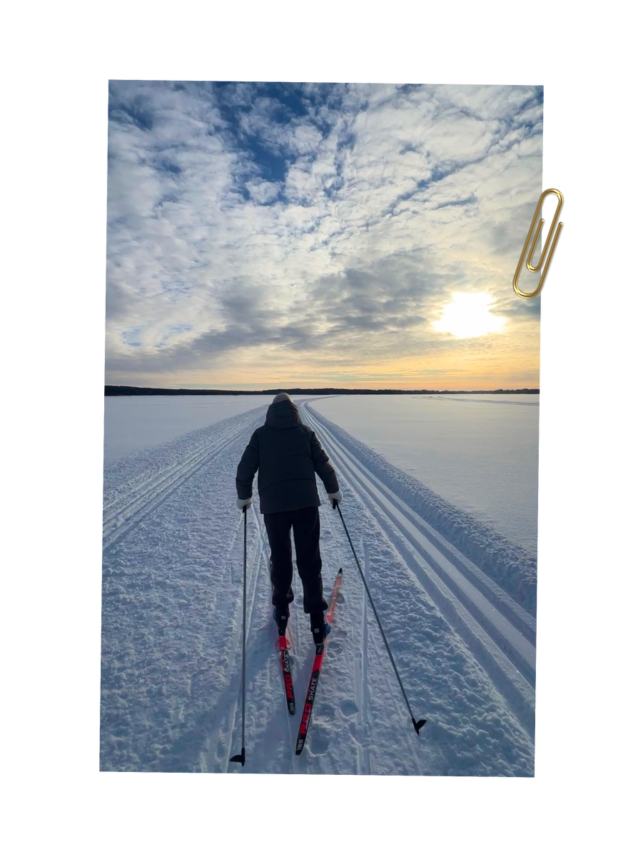    Заметки на полях. Старинные деревни и бескрайние хвойные леса Заонежья (фото 1)