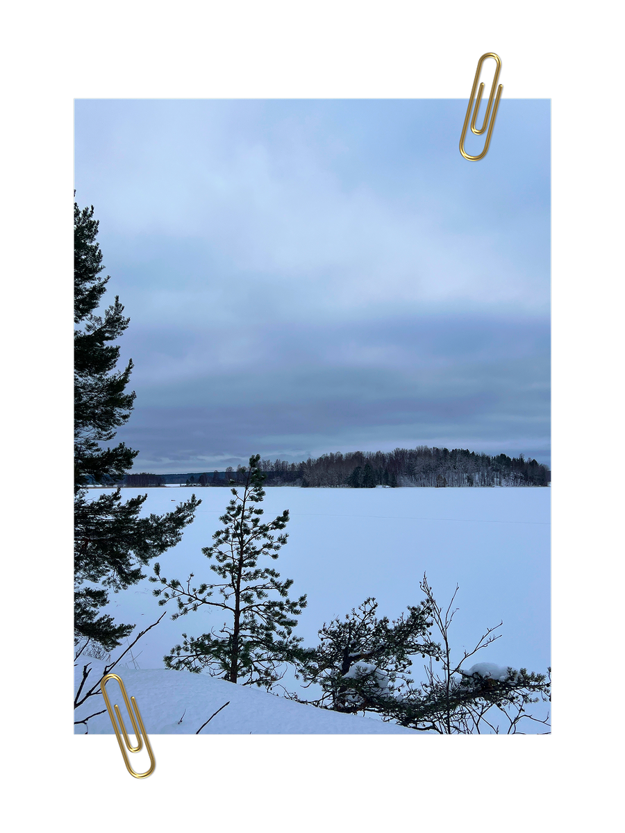    Заметки на полях. Старинные деревни и бескрайние хвойные леса Заонежья (фото 2)