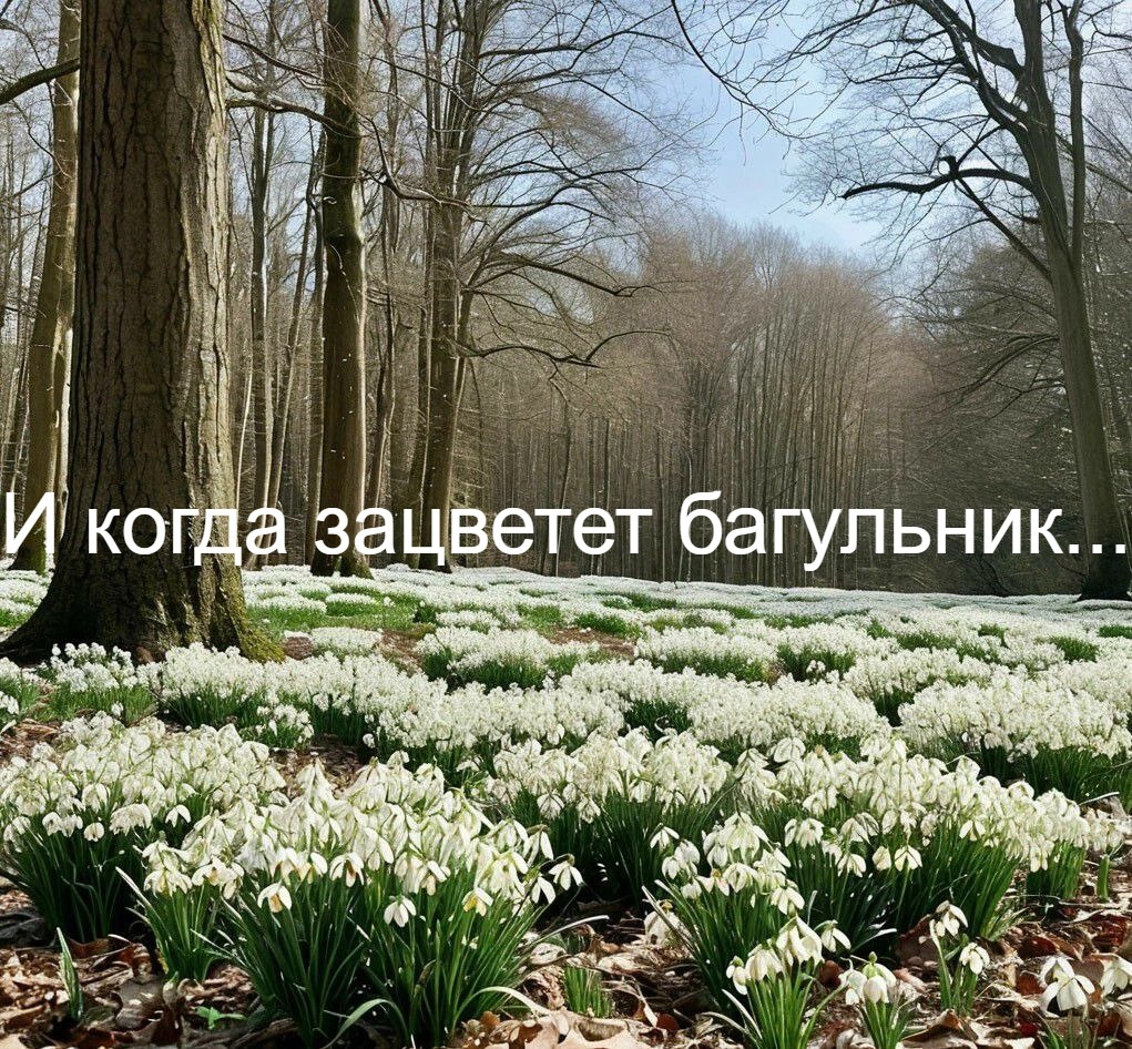 Изображение сгенерировано нейросетью Шедеврум.