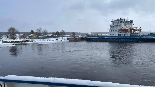 Фото: управление ветеринарии Ленобласти